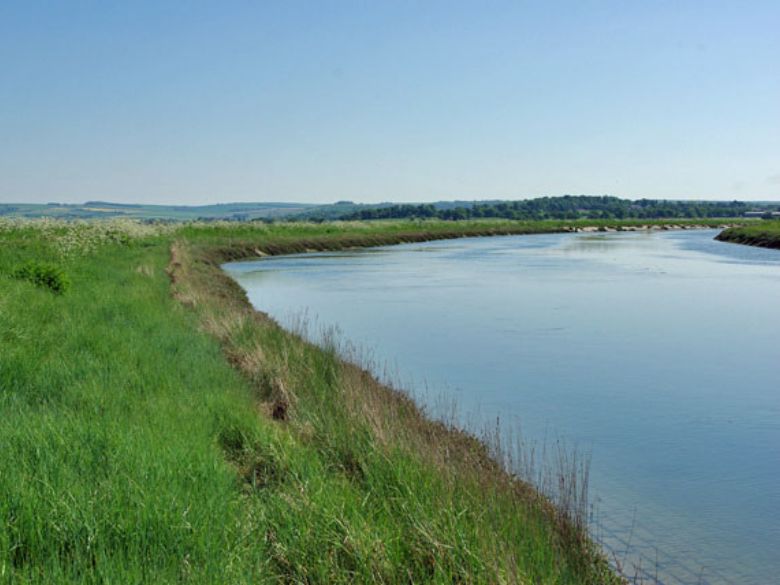 The River Arun